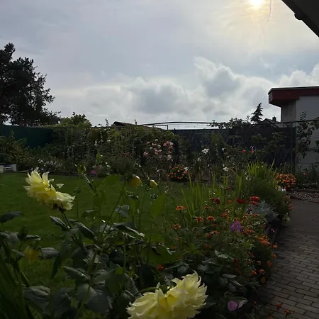 Radlernest Am Wasserkreuz